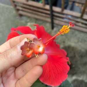 Alexis Bittar Orange Flower Earrings